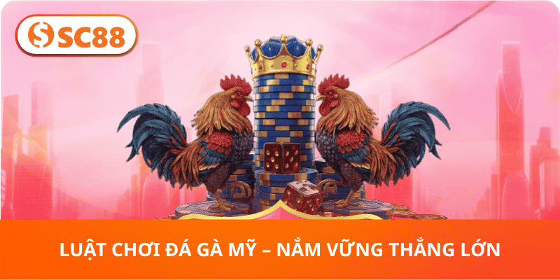 Luật Chơi Đá Gà Mỹ – Nắm Vững Thắng Lớn