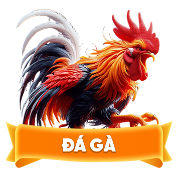 Đá gà SC88